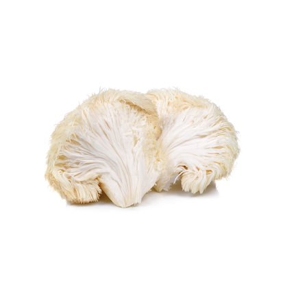 Lion's Mane Mushroom Powder