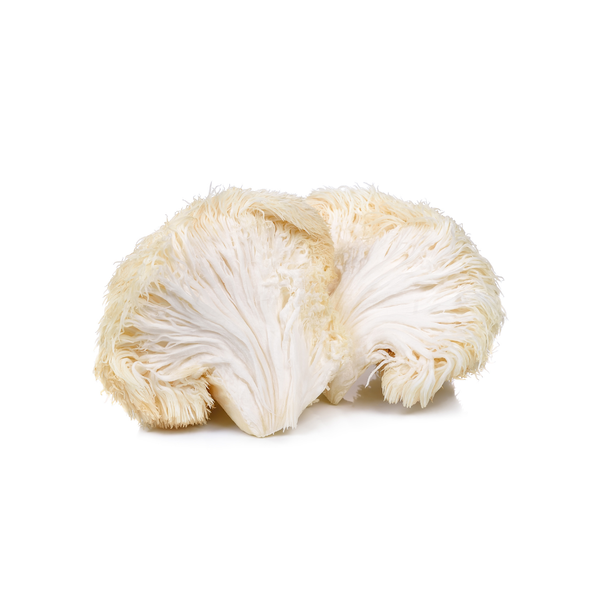 Lion's Mane Mushroom Powder