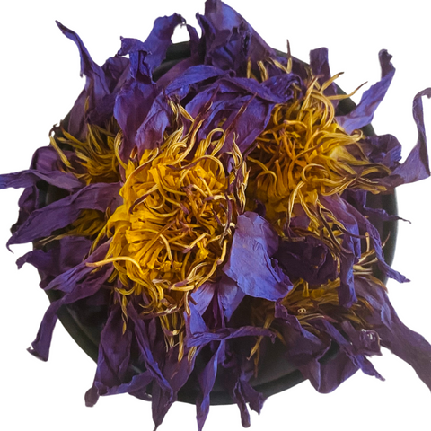 dried blue lotus flower