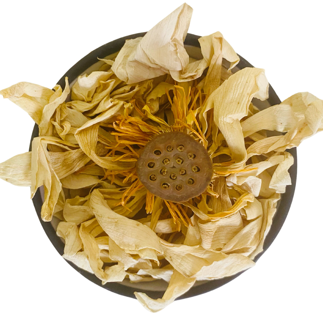 Dried white lotus flower