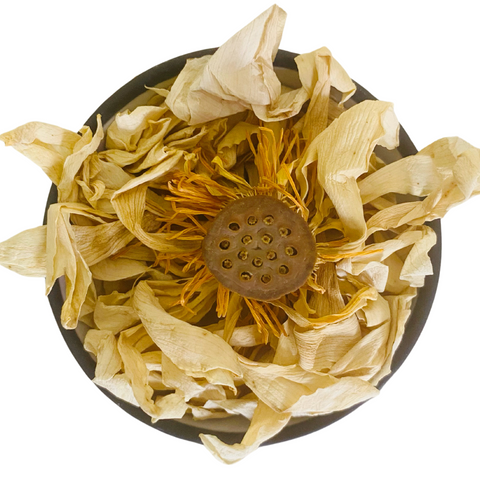 Dried white lotus flower