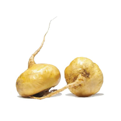 maca-root-sri-lanka