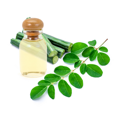 moringa leaf extract powder