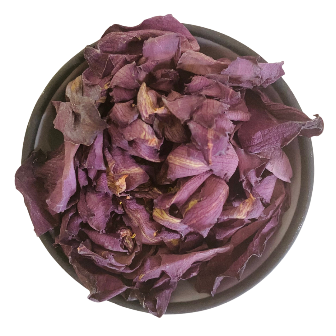 Dried Pink Lotus Flower