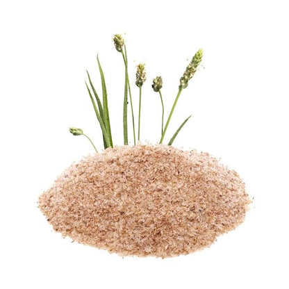 psyllium husk powder sri lanka