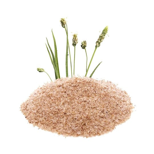 psyllium husk powder sri lanka