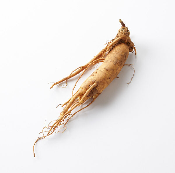 red_ginseng_powder