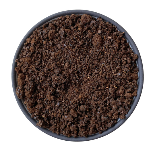 shikakai powder