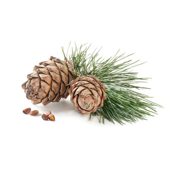 cedarwood essential oil uses