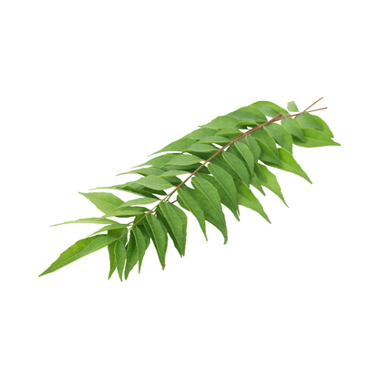 curry leaves oil Sri Lanka