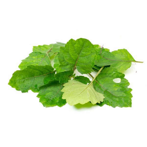 patchouli fragrance oil Sri Lanka