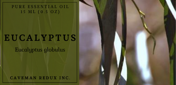 Eucalyptus essential oil sri lanka