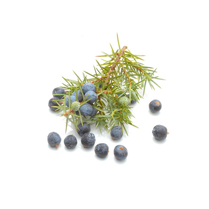juniper oil Sri Lanka