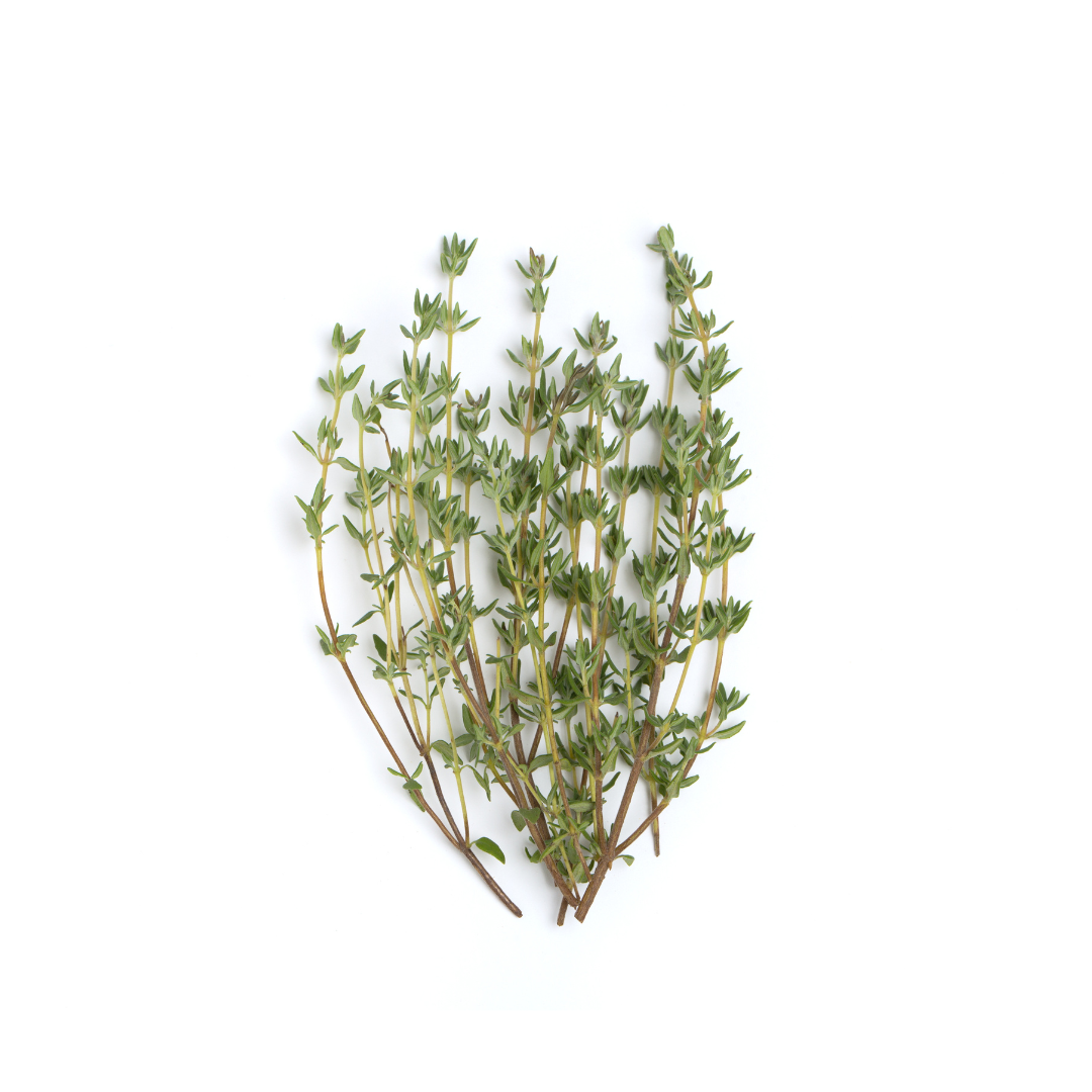 thyme leaf essential oil Sri Lanka