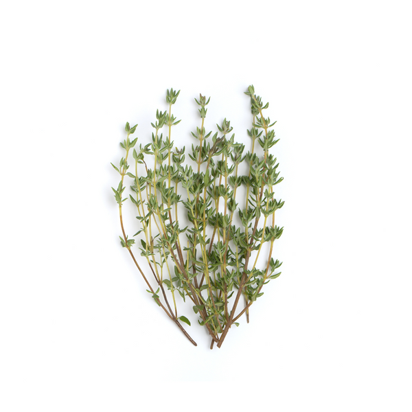 thyme leaf essential oil Sri Lanka