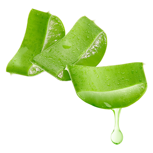 Aloe Vera fragrance oil Sri Lanka