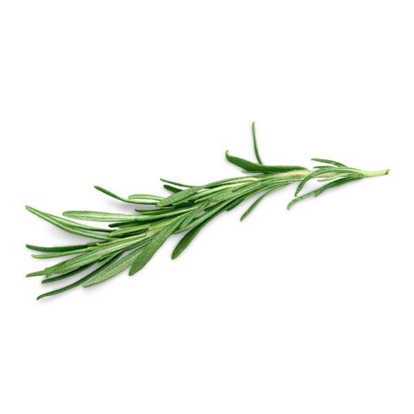 rosemary fragrance oil Sri Lanka