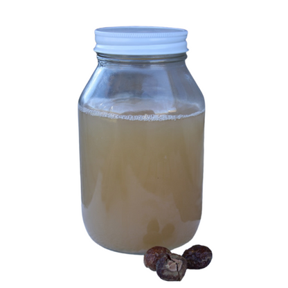 soap nut shampoo