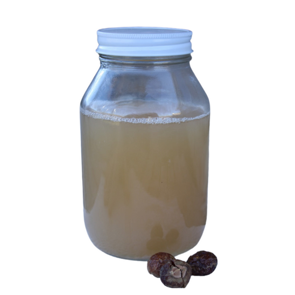 soap nut shampoo