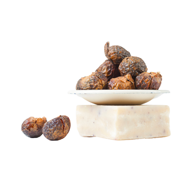 soap nut for hair