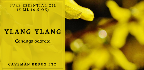 ylang ylang oil