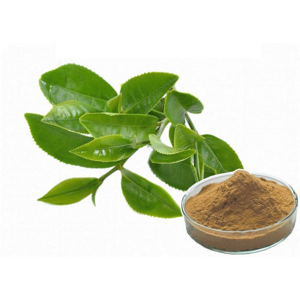 green tea extract Sri lanka