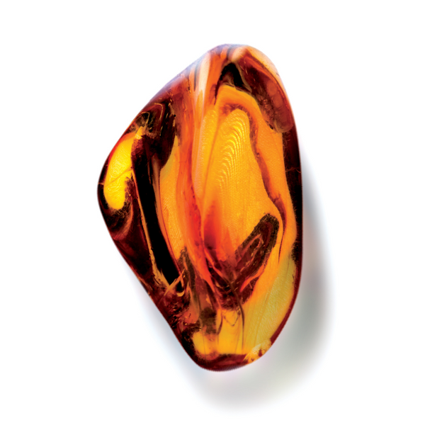amber fragrance oil Sri Lanka