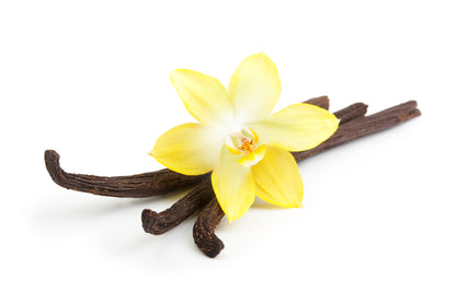 vanilla absolute essential oil