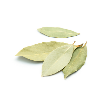 bay leaf essential oil for hair