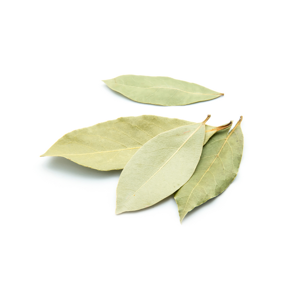 bay leaf essential oil for hair