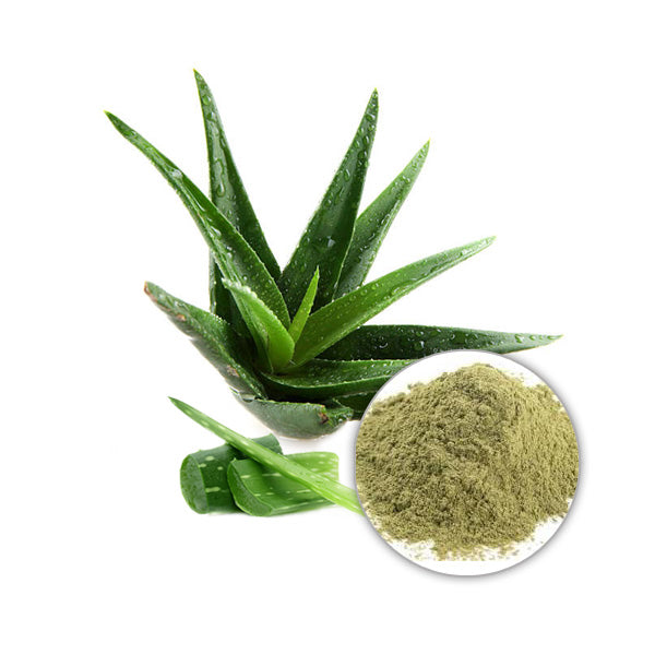 Aloe Vera powder Sri Lanka