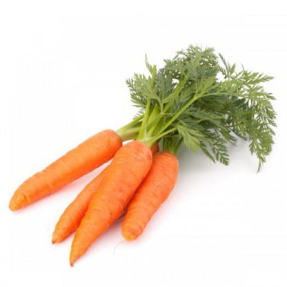 dried carrot powder