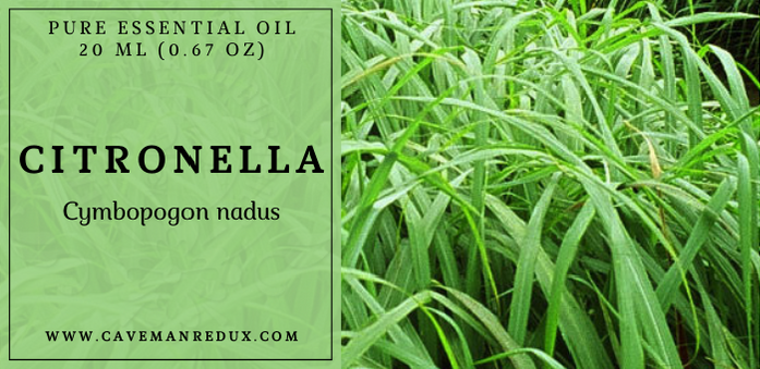 Citronella Essential Oil Sri Lanka