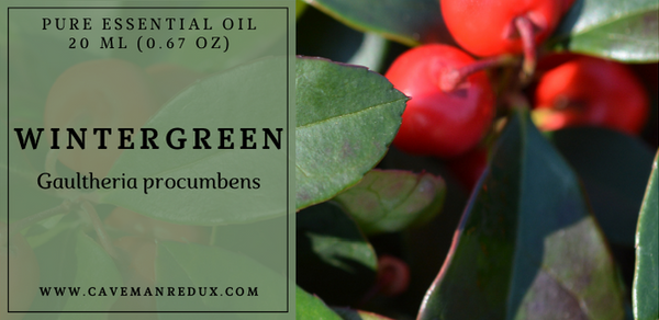 Wintergreen Essential Oil Sri Lanka