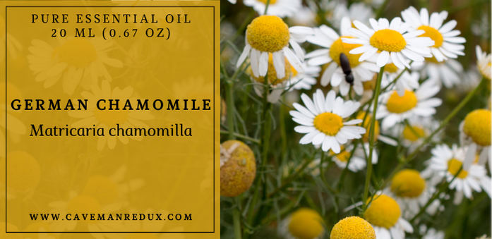 German Roman Chamomile Essential Oil Sri Lanka