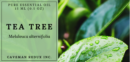 Tea tree essential oil sri lanka 