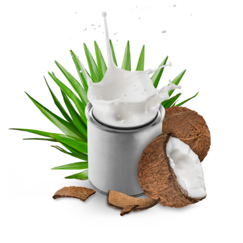 canned coconut milk