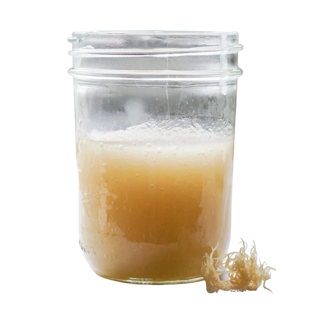 sea moss gel Sri Lanka