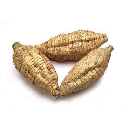 arrowroot flour Sri Lanka