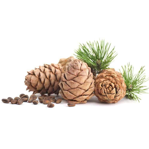 cedarwood fragrance oil Sri Lanka 