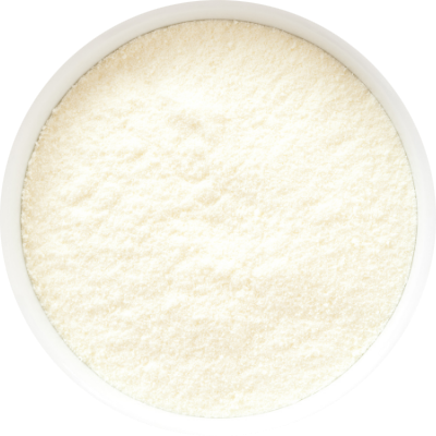 coconut milk powder