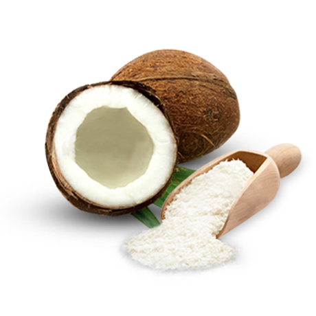 coconut flour Sri Lanka 