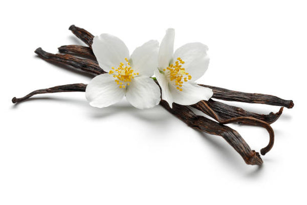 vanilla fragrance oil Sri Lanka 