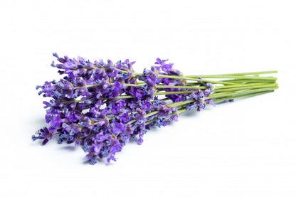 Lavender oil for hair