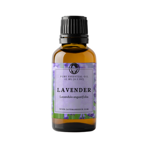 lavender essential oil