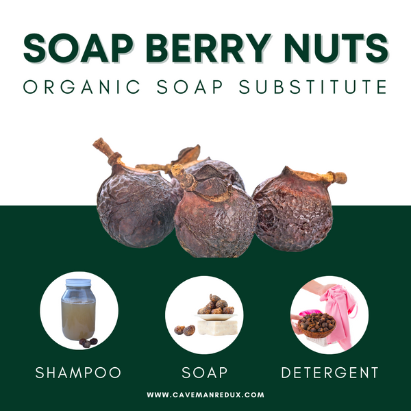 organic soap nuts