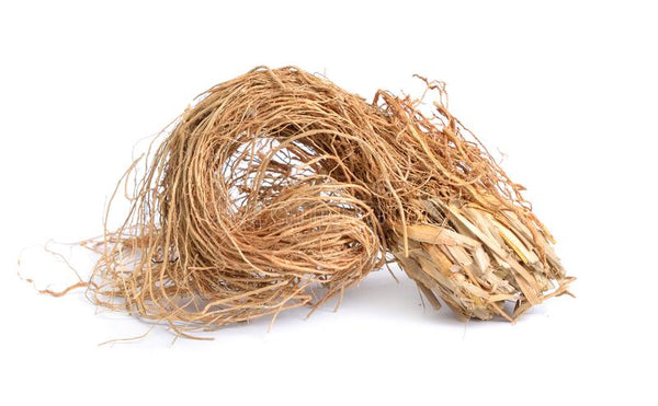 vetiver root essential oil