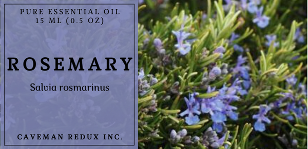 rosemary oil in sri lanka