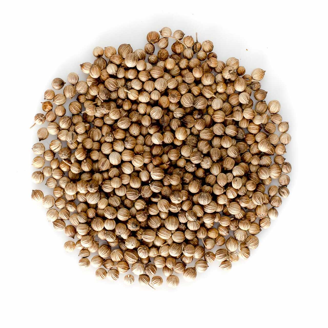 organic coriander seeds